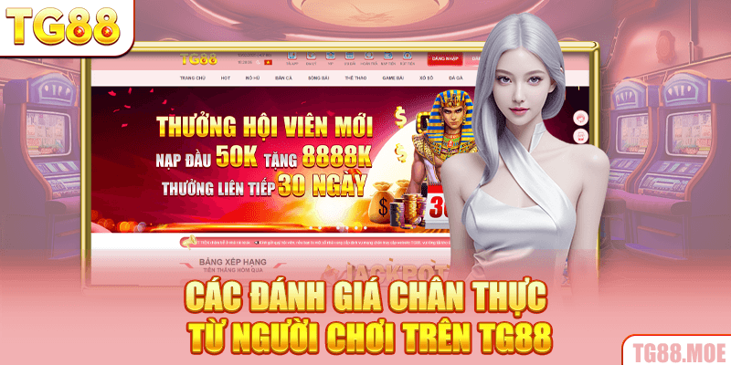 Các đánh giá chân thực từ người chơi trên TG88